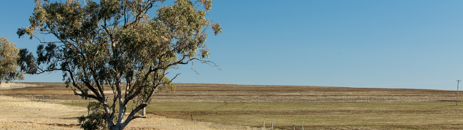 Haystack Landcare group erosion control